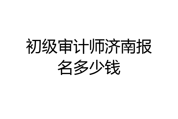 初级审计师济南报名多少钱