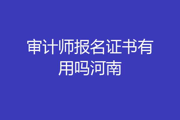 审计师报名证书有用吗河南
