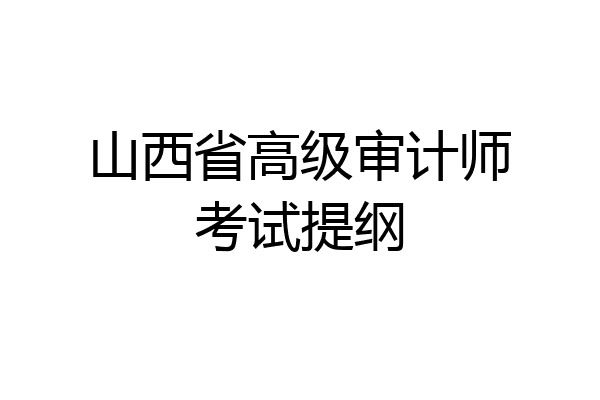 山西省高级审计师考试提纲