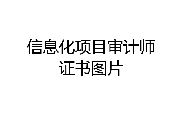 信息化项目审计师证书图片