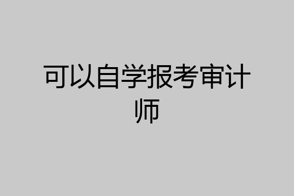 可以自学报考审计师