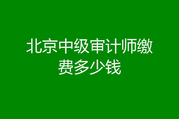 北京中级审计师缴费多少钱