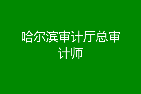 哈尔滨审计厅总审计师