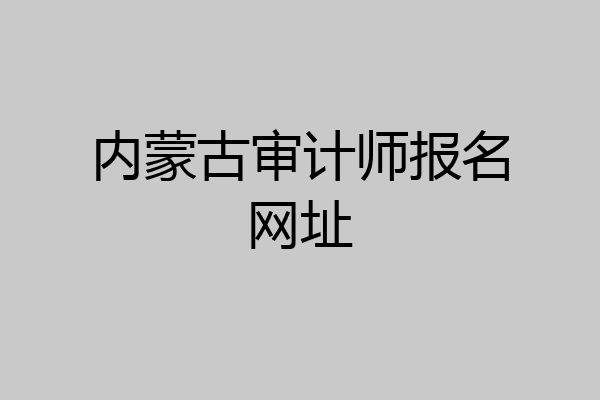 内蒙古审计师报名网址