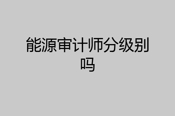 能源审计师分级别吗
