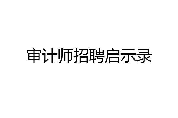 审计师招聘启示录