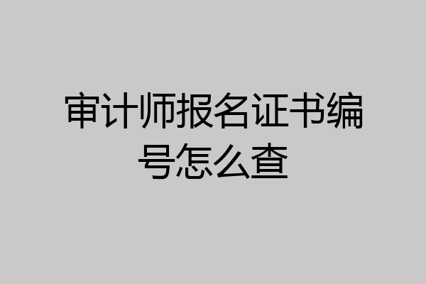 审计师报名证书编号怎么查