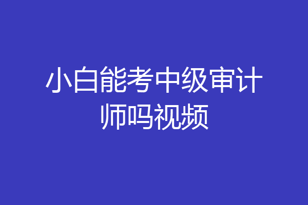 小白能考中级审计师吗视频