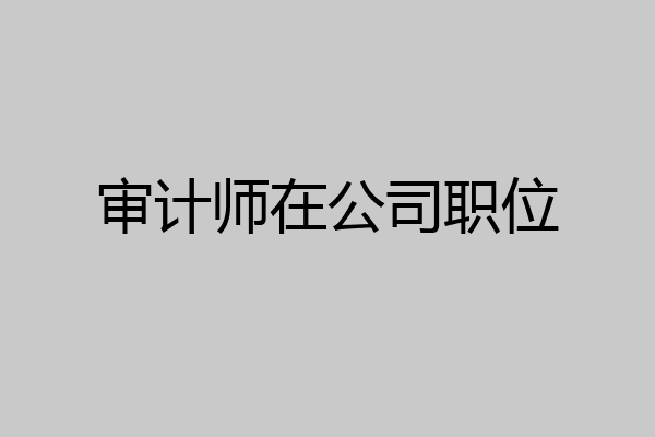 审计师在公司职位