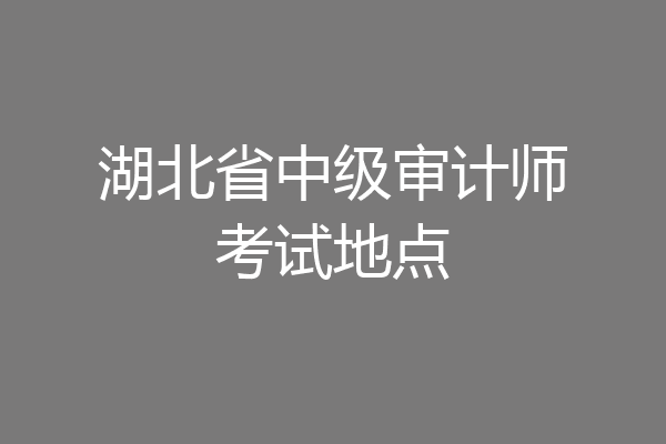 湖北省中级审计师考试地点