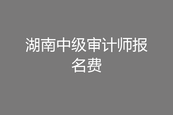 湖南中级审计师报名费