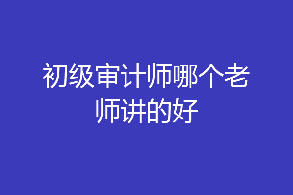 初级审计师哪个老师讲的好