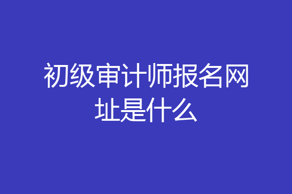 初级审计师报名网址是什么