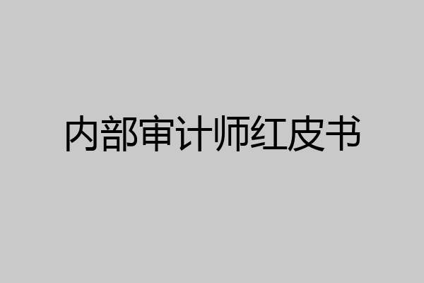 内部审计师红皮书
