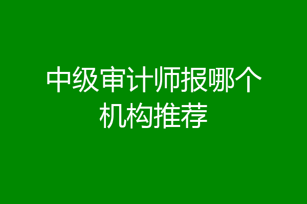 中级审计师报哪个机构推荐