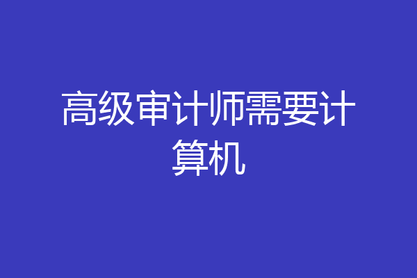 高级审计师需要计算机