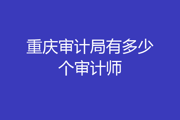 重庆审计局有多少个审计师