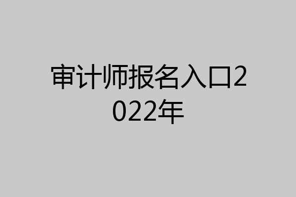 审计师报名入口2022年