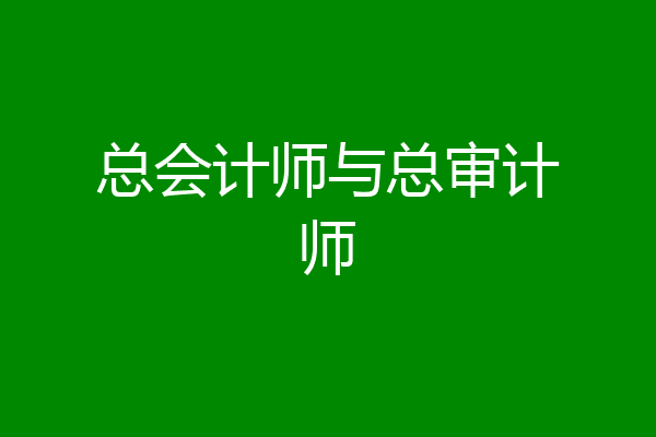 总会计师与总审计师