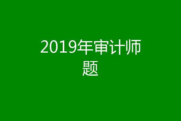 2019年审计师题