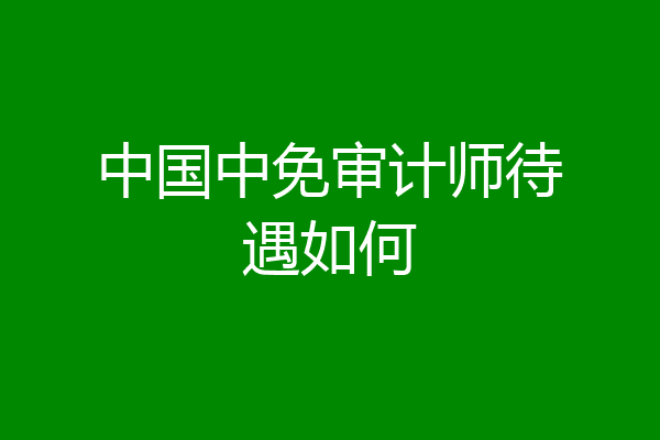 中国中免审计师待遇如何