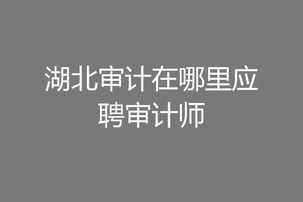 湖北审计在哪里应聘审计师