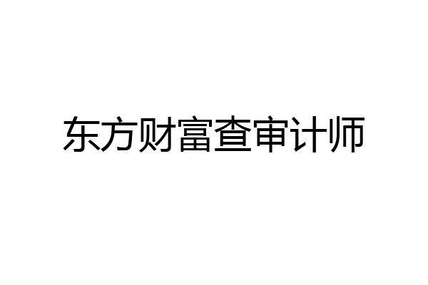东方财富查审计师