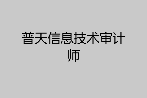 普天信息技术审计师