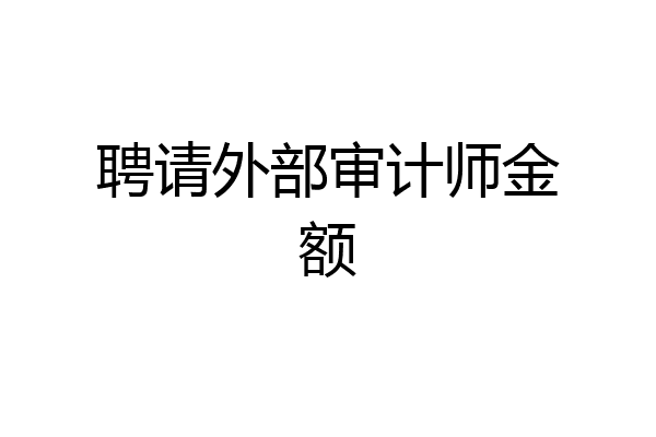 聘请外部审计师金额