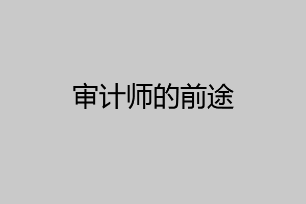 审计师的前途