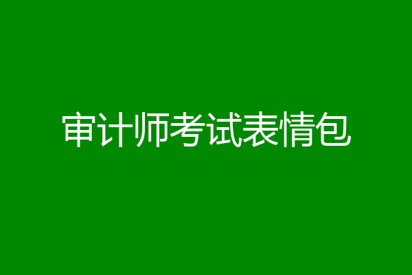 审计师考试表情包