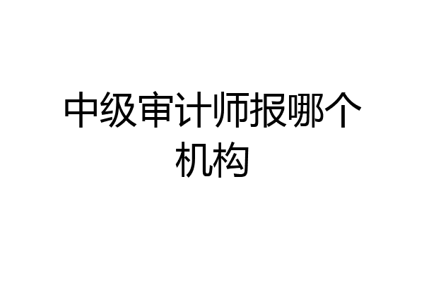 中级审计师报哪个机构