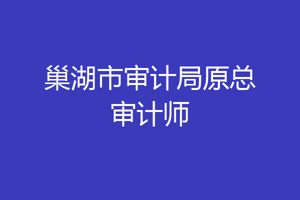 巢湖市审计局原总审计师