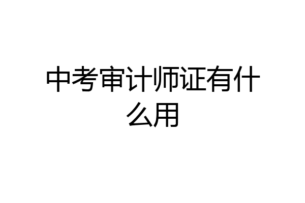 中考审计师证有什么用