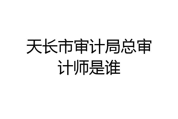 天长市审计局总审计师是谁