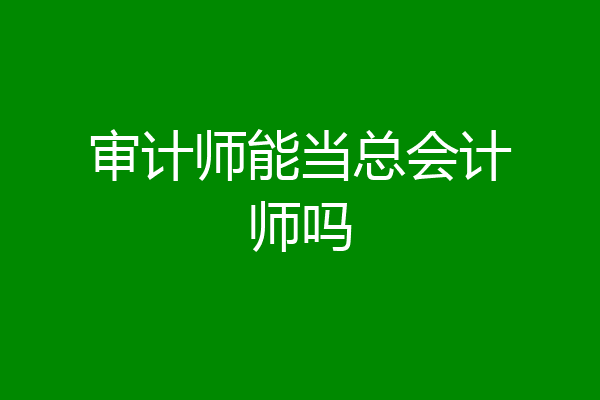 审计师能当总会计师吗