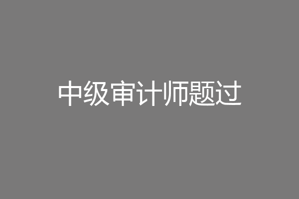 中级审计师题过