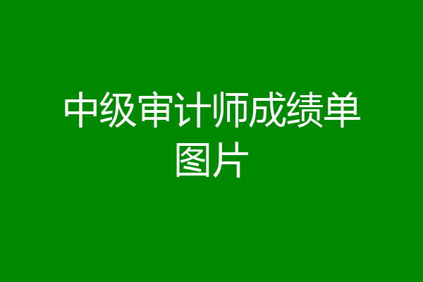 中级审计师成绩单图片