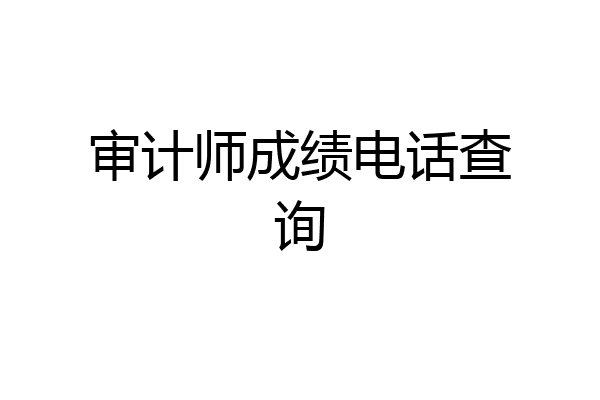审计师成绩电话查询