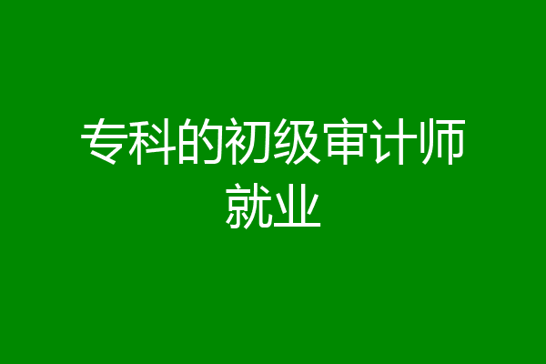 专科的初级审计师就业