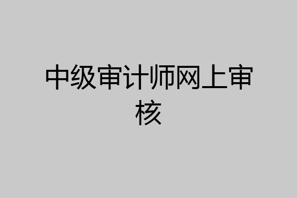 中级审计师网上审核