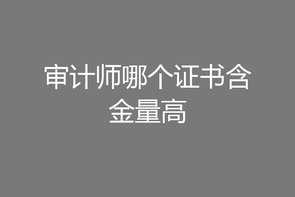 审计师哪个证书含金量高