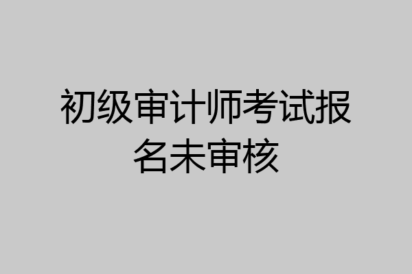 初级审计师考试报名未审核