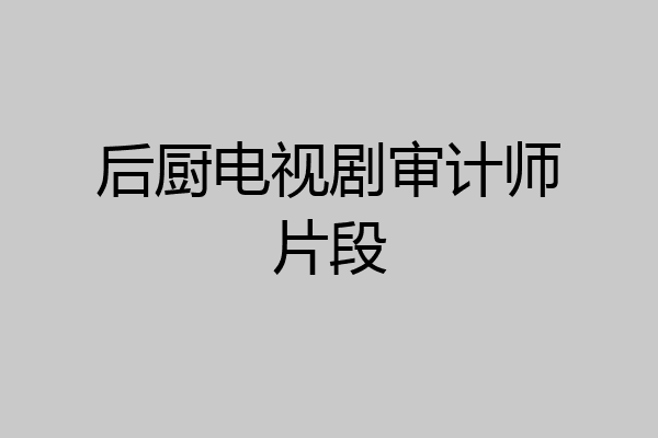 后厨电视剧审计师片段