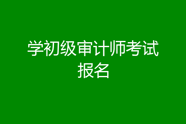 学初级审计师考试报名