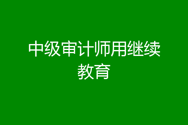 中级审计师用继续教育
