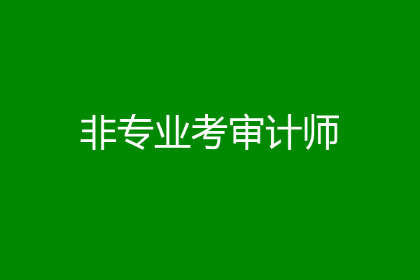 非专业考审计师