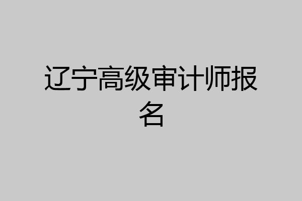 辽宁高级审计师报名