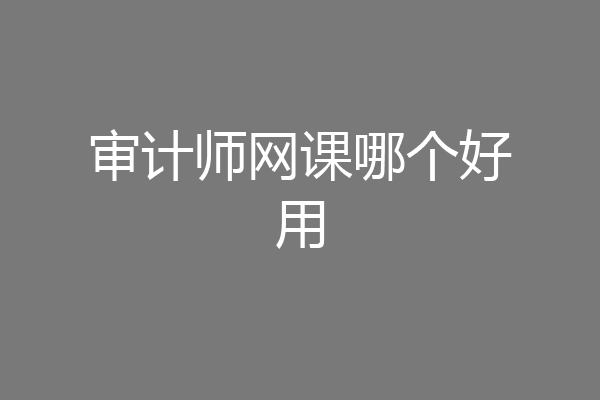 审计师网课哪个好用