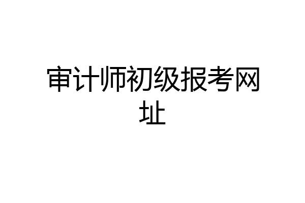 审计师初级报考网址